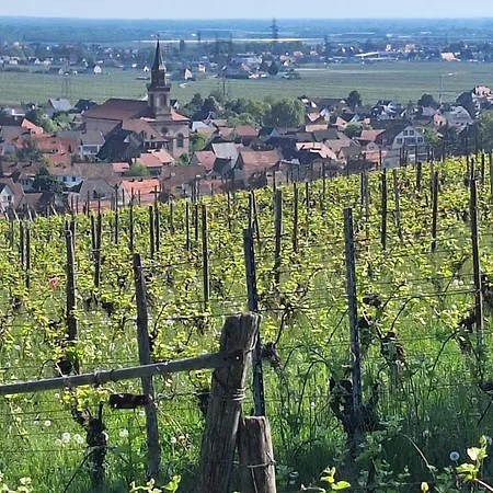 度假居 Maison Individuelle, 10 Minutes De Colmar 4 - 8 Personnes - 2 Sdb
