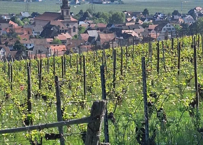 Holiday home Maison Individuelle, 10 Minutes De Colmar 4 - 8 Personnes - 2 Sdb